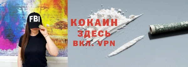 PSILOCYBIN Михайлов