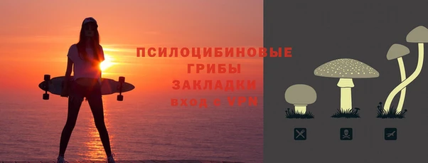 мдпв Надым