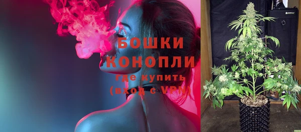 ПСИЛОЦИБИНОВЫЕ ГРИБЫ Михайловка