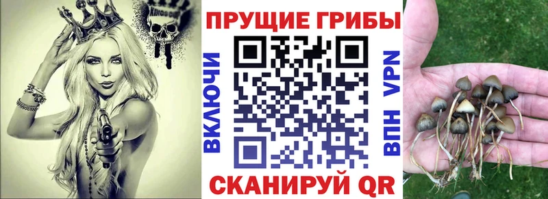 Купить  Ишимбай  Псилоцибиновые грибы мухоморы 